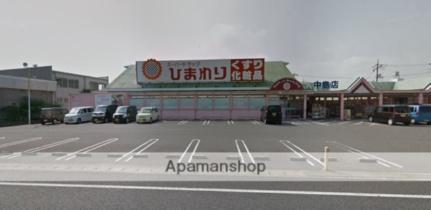 画像7:スーパードラッグひまわり中島店(その他周辺施設)まで496m