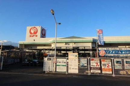 画像14:コメリハード＆グリーン井原店(ホームセンター)まで451m