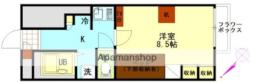 🉐敷金礼金0円！🉐広島電鉄１系統 県病院前駅 徒歩29分