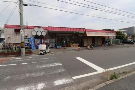 広島県広島市南区北大河町(賃貸アパート1R・1階・20.35㎡)の写真 その14