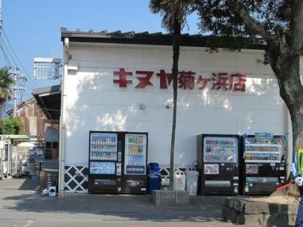 画像16:キヌヤ菊ヶ浜店(スーパー)まで450m