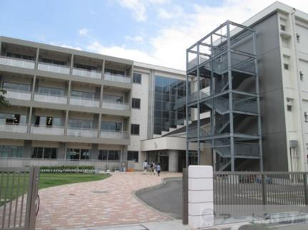 画像18:河野小学校(小学校)まで3311m