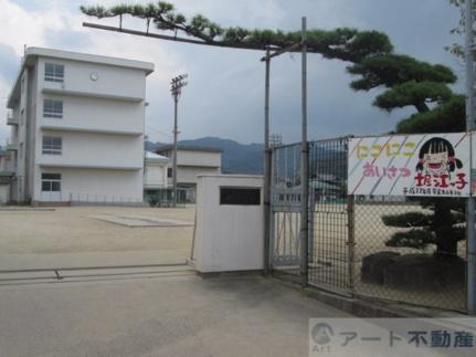 画像18:堀江小学校(小学校)まで1425m