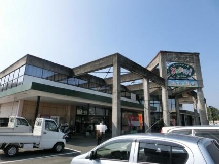 サザンコンフォートII 102｜熊本県熊本市南区城南町隈庄(賃貸アパート2DK・1階・45.33㎡)の写真 その14