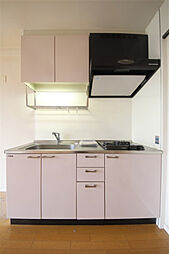 アリス・マナーガーデン谷町