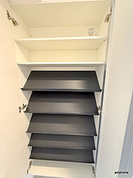 Cherry Blossom 五条通