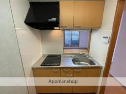 ラフィネ小鶴新田