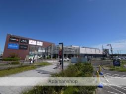 アスコット出花