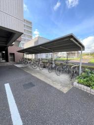 アルテマイスターカサミラ