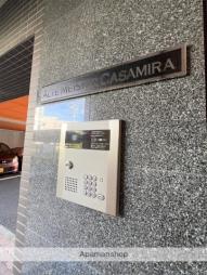 アルテマイスターカサミラ